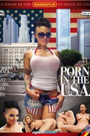 Porn In The U.S.A