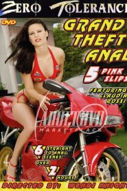 Grand Theft Anal 5