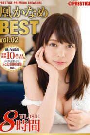 PPT-061 Honkaname 8 Hours BEST PRESTIGE PREMIUM TREASURE Vol.02