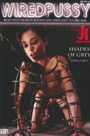 Wiredpussy – Shades Of Grey